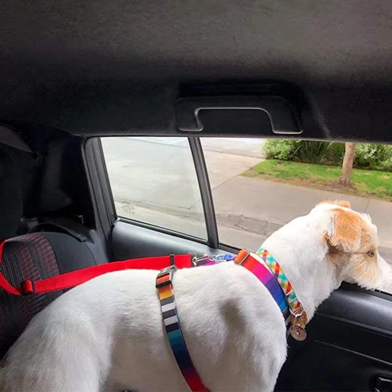 Car Seat Belt for Dogs 2 in 1 Nylon Lead Leash Adjustable Backseat Safety Pet Harness Travel Collar Accessories Pet Collars