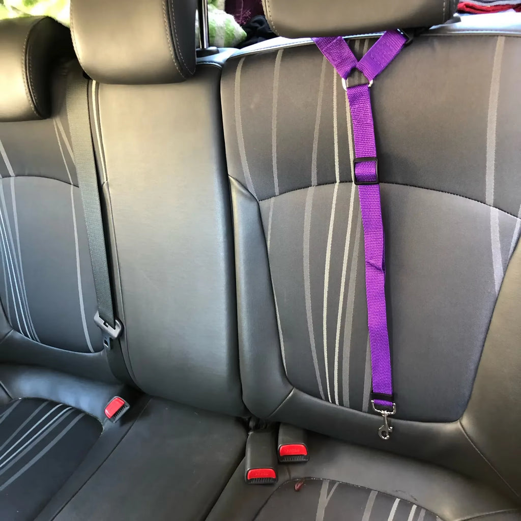 Car Seat Belt for Dogs 2 in 1 Nylon Lead Leash Adjustable Backseat Safety Pet Harness Travel Collar Accessories Pet Collars