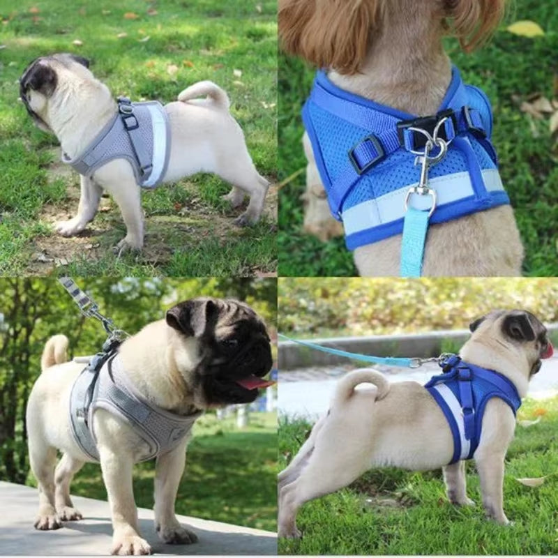 Vest Harness Leash Adjustable Mesh Vest Dog Harness Collar Chest Strap Leash Harnesses with Traction Rope XS/S/M/L/XL