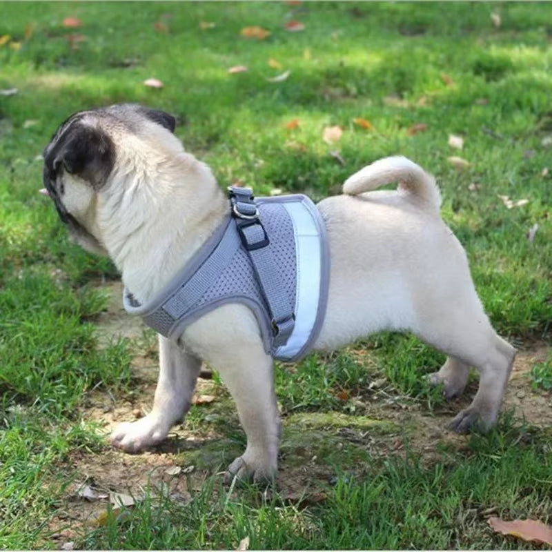 Vest Harness Leash Adjustable Mesh Vest Dog Harness Collar Chest Strap Leash Harnesses with Traction Rope XS/S/M/L/XL